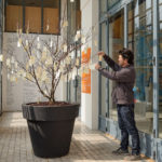 YOKO ONO - Lumière de L'aube - Musée d'art contemporain de Lyon