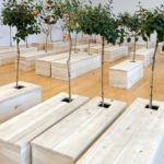 YOKO ONO - Lumière de L'aube - Musée d'art contemporain de Lyon