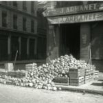 Rutabaga