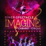 Affiche Cirque Imagine Lyon