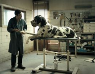 Dogman de Matteo Garrone - VOST