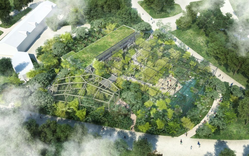 La forêt asiatique du Parc de la Tête d'Or