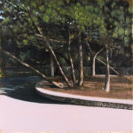 Jérémy Liron : arbres