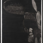 Jérémy Liron : grand figuier