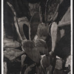 Jérémy Liron : grand figuier