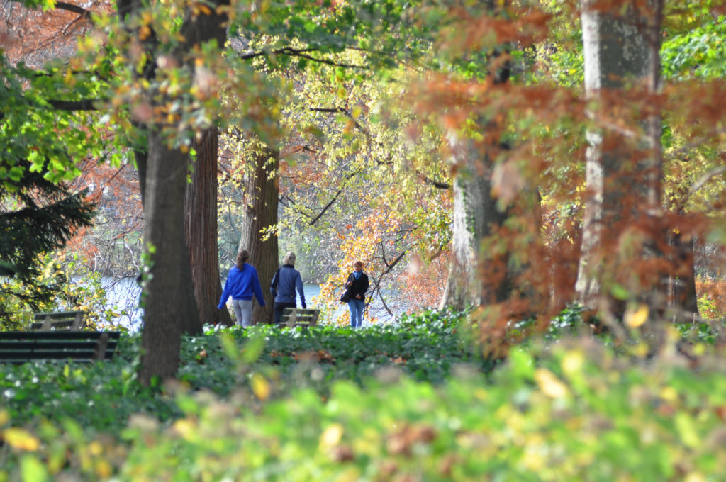 Parc de la Tête d'or / Balade