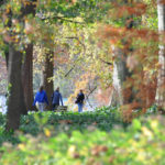 Parc de la Tête d'or / Balade