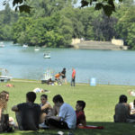 Parc de la Tête d'or / Pelouses face au lac