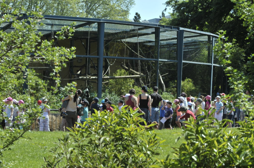 Parc de la Tête d'or / Zoo