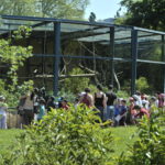 Parc de la Tête d'or / Zoo