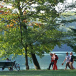 Parc de la Tête d'or / Arbres