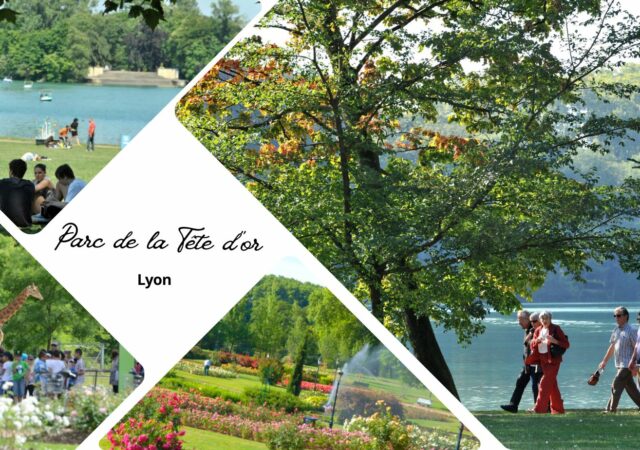 Parc de la Tête d’Or à Lyon : histoire, secrets et trésors du plus grand parc urbain de la ville