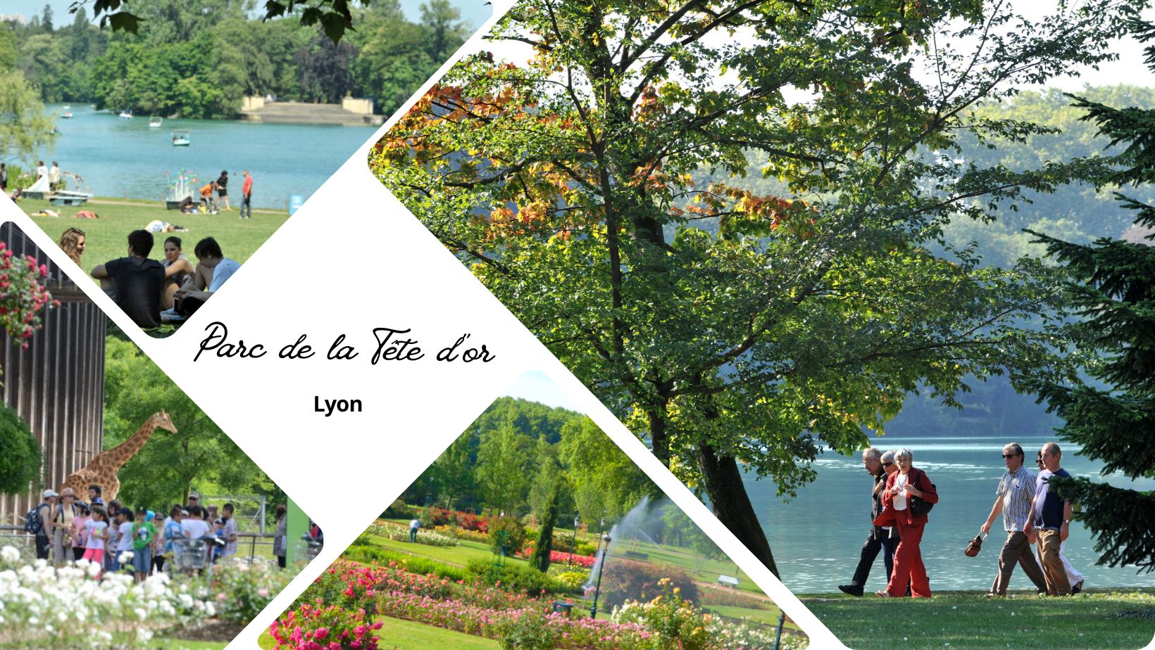 Parc de la Tête d’Or à Lyon : histoire, secrets et trésors du plus grand parc urbain de la ville