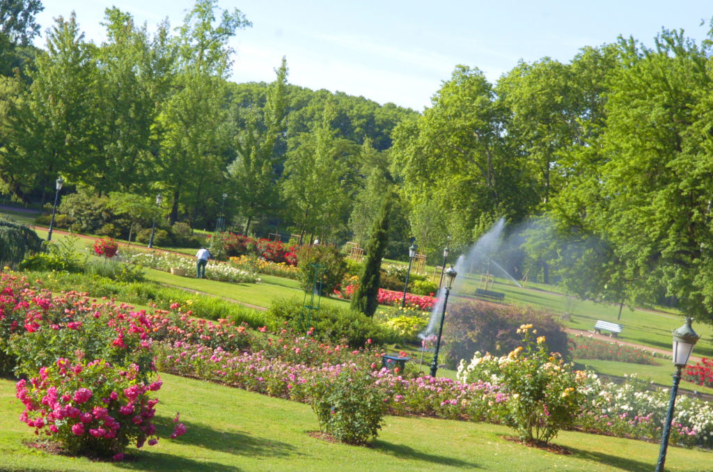 Vue générale / Parc de la Tête d'or / Roseraie