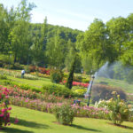 Vue générale / Parc de la Tête d'or / Roseraie