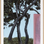 Les silences de la peinture