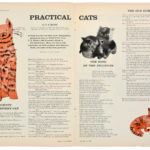 Pratical cats / Andy Warhol
