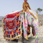 Charles Fréger / Painted Elephant