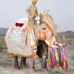Charles Fréger / Painted Elephant