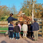 Le Pal / Le goûter des girafes