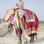 Charles Fréger / Painted Elephant