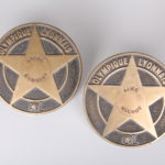 Pavés hommage aux joueurs Olympique Lyonnais