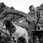 Hauts pâturages, enclos des chèvres à 4000m d'altitude musée des Confluences photo Hervé Nègre