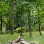 La Croix-Rousse - Parc de la Cerisaie - Mimi