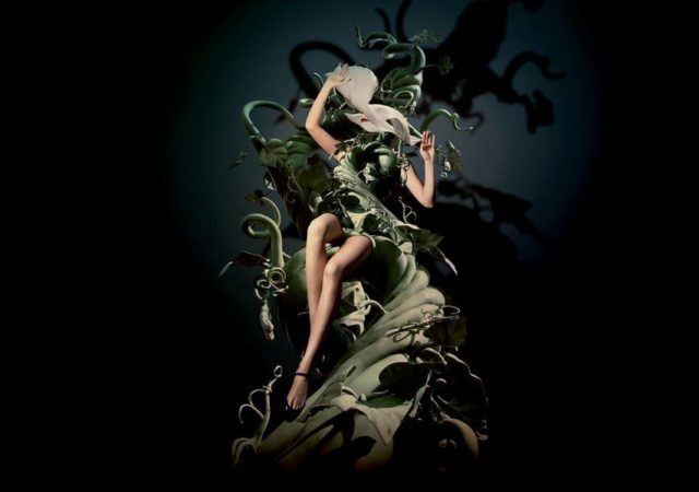 Les Célestins au Théâtre Le Point du Jour