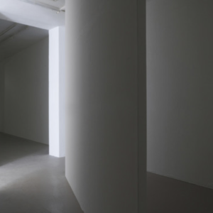 IAC Institut d'art Contemporain Villeurbanne : Daniel Steegman Mangrané, Ne voulais prendre ni forme ni chair