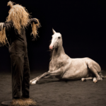 Théâtre équestre Zingaro | Les Nuits de Fourvière