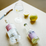 Ninkasi Gin Houblon Saaz Bio