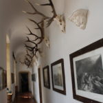 Château de Drée : couloir