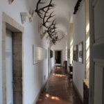 Château de Drée : couloir