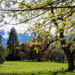 Chaplin's world (Corsier-sur-Vevey)