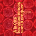 Cité internationale de la gastronomie à Lyon