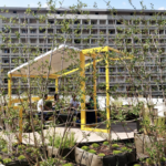 Lyon : rooftop du parking des Halles Bocuse