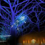 Fête des Lumières 2019 : le parc de la tête d'or