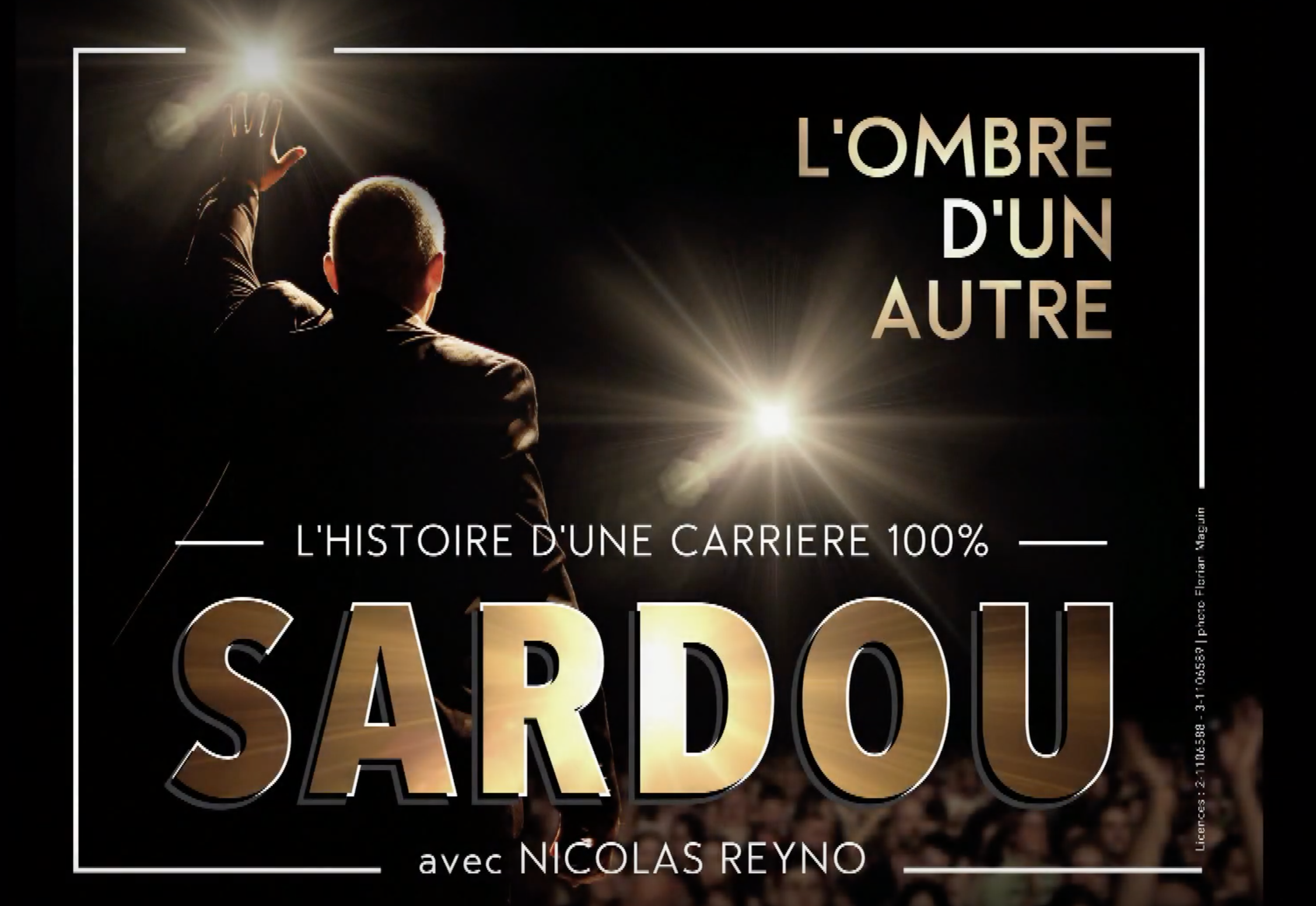 Chaponnay ( 69) - Concert samedi 8 février - Spectacle SARDOU