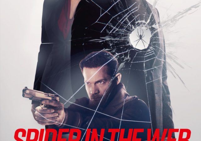 Spider in the web