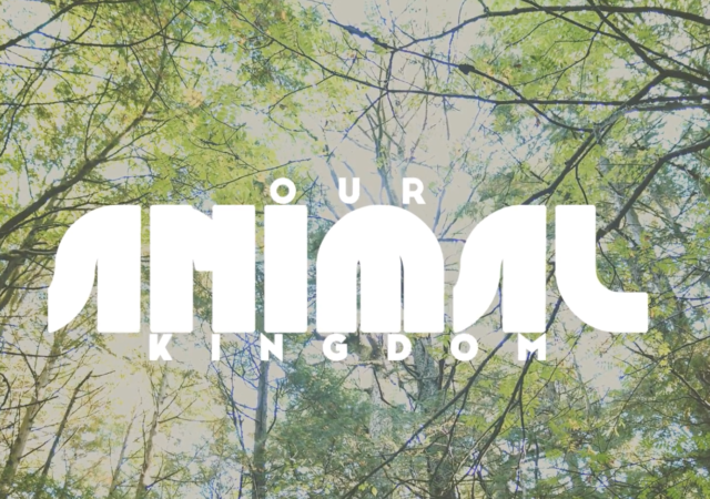 Our Animal Kingdom