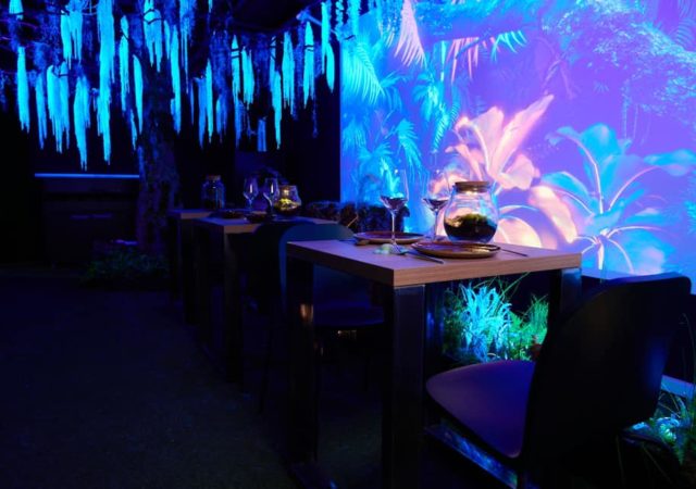 Athera, restaurant éphémère sur le thème Avatar sur le toit de la Part-Dieu