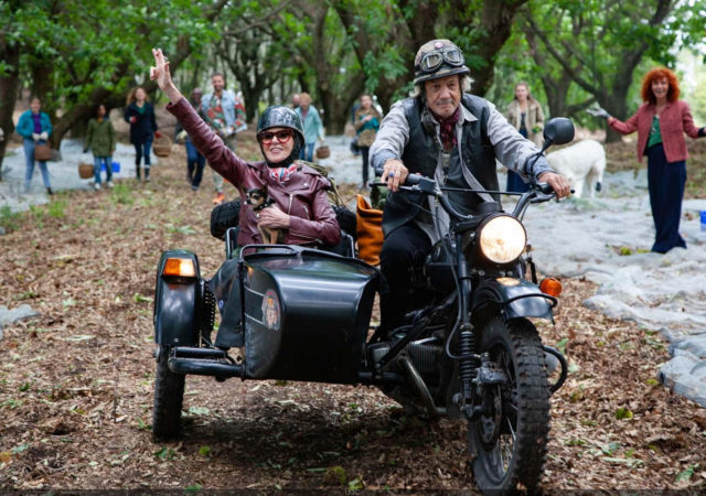 C'est quoi ce papy ?