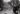 Festival Lumière 2021 : Buster Keaton et Vincent Delerm à la soirée d'ouverture