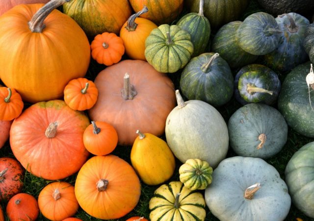 Festival des Courges au Parc de la Tête d'Or samedi 16 et dimanche 17 octobre 2021