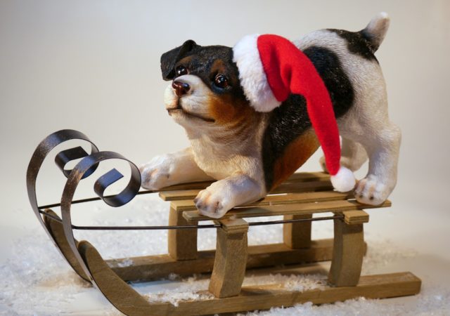 Bazar de Noël de la SPA au Refuge Brignais du 19 au 21 novembre 2021