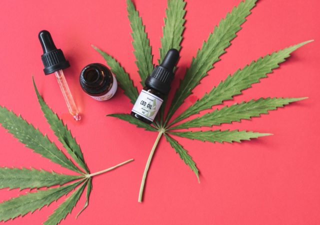 1er Salon du CBD & du Chanvre à Lyon les 7 et 8 mai 2022 à La Sucrière