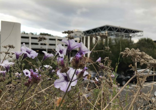 Les visites Cymoche - Visites guidées insolites à Lyon