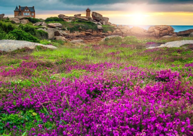 Un nouveau vol direct au départ de Lyon Saint-Exupéry vers la Bretagne