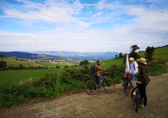 Wine and Ride - Les routes du vin à vélo